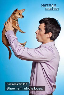 Nathan for You — Saison 4