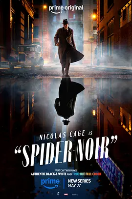 Spider-Noir (Noir‎)