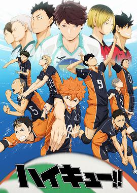 Haikyu!! (Haikyū!!)