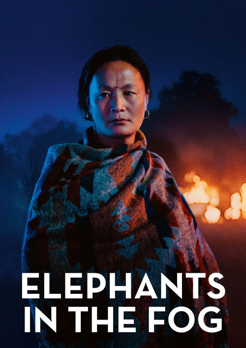 Les Éléphants dans la brume