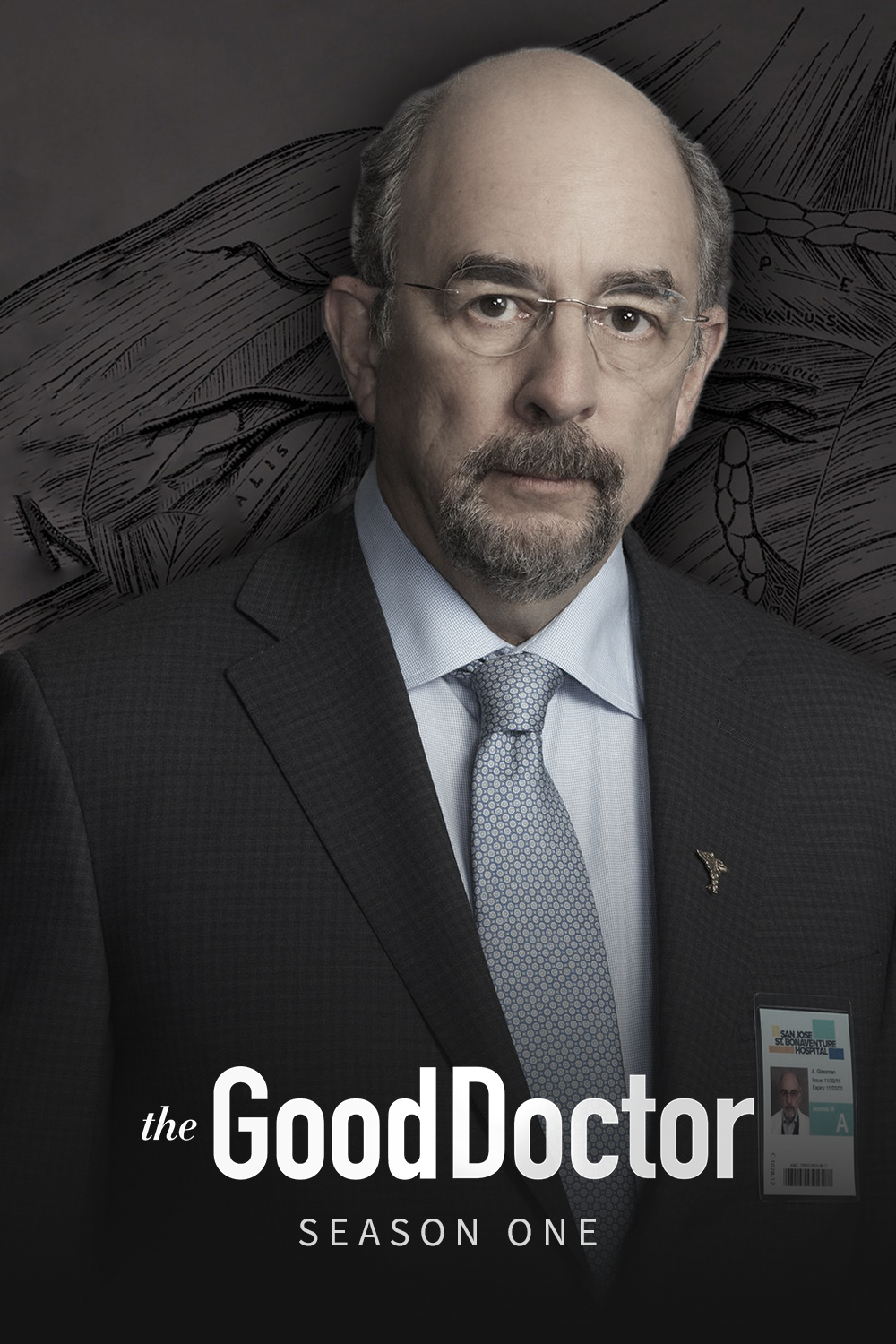 Good Doctor — Saison 1