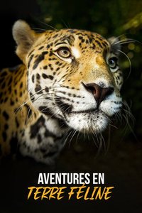 Aventures en terre féline