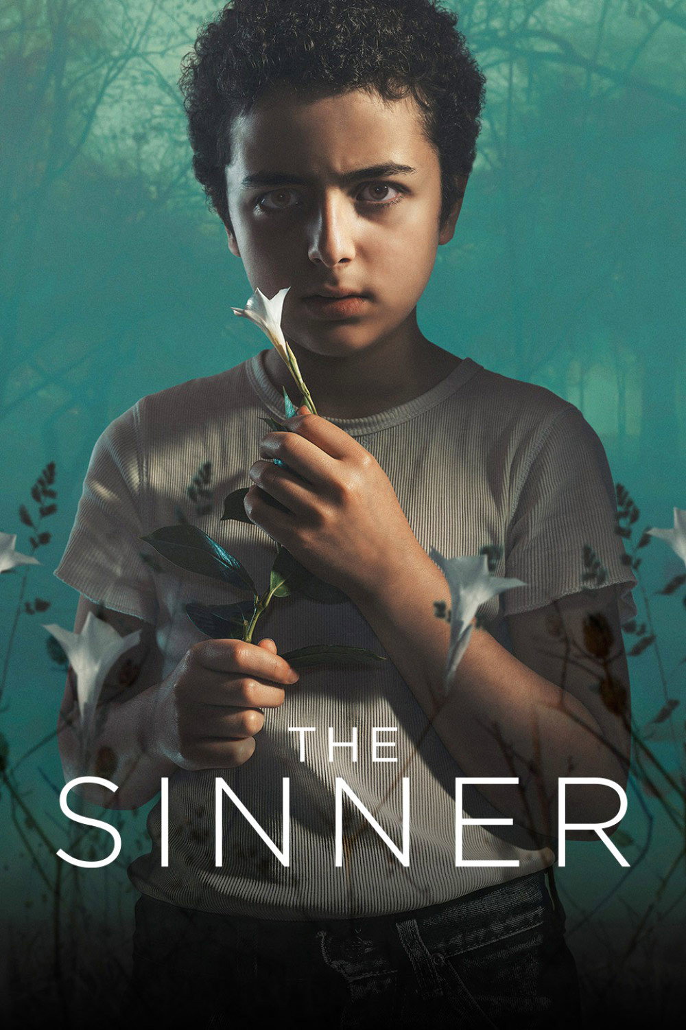 The Sinner — Saison 2