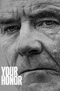Your Honor — Saison 1