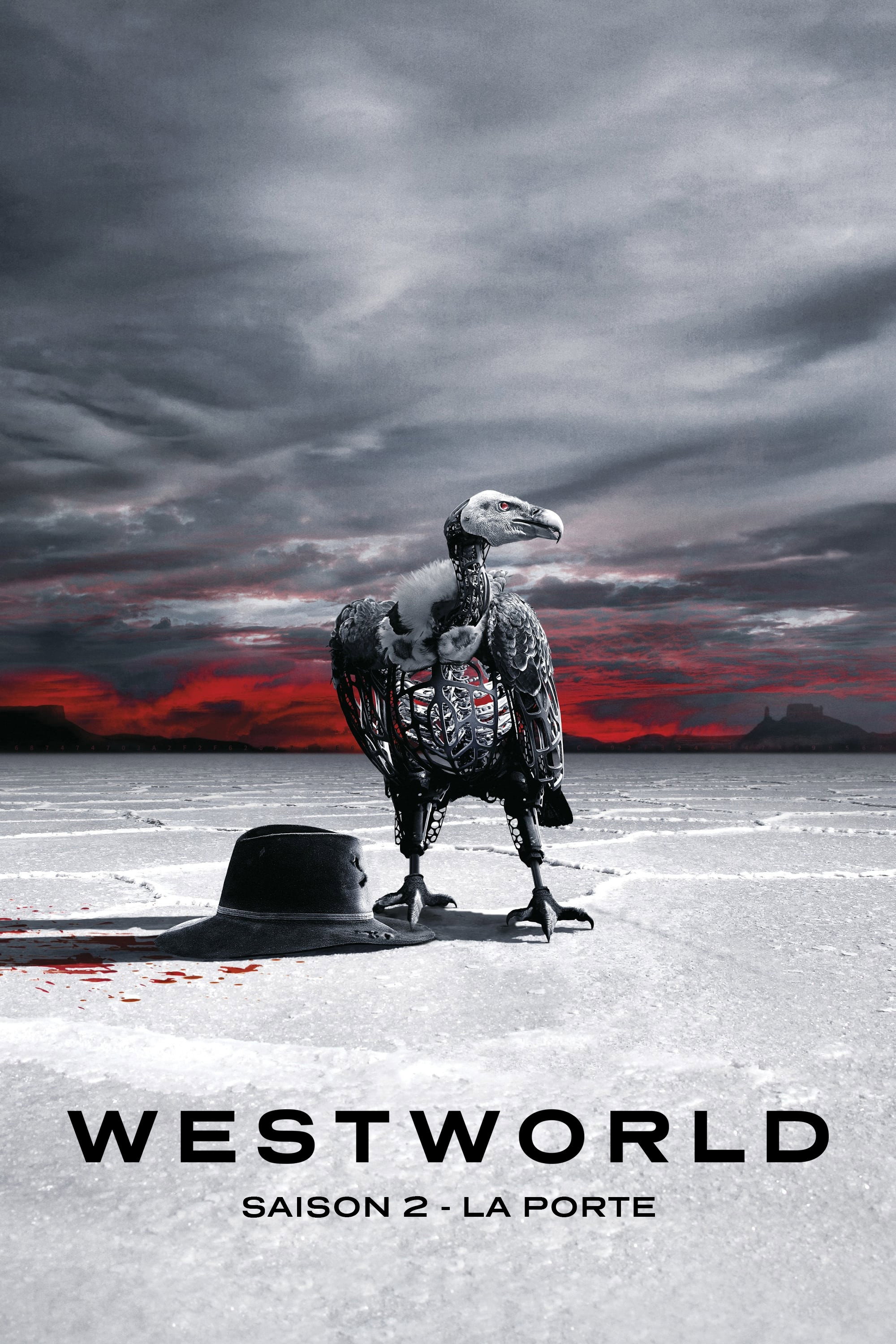 Westworld (Saison 2 : La Porte)