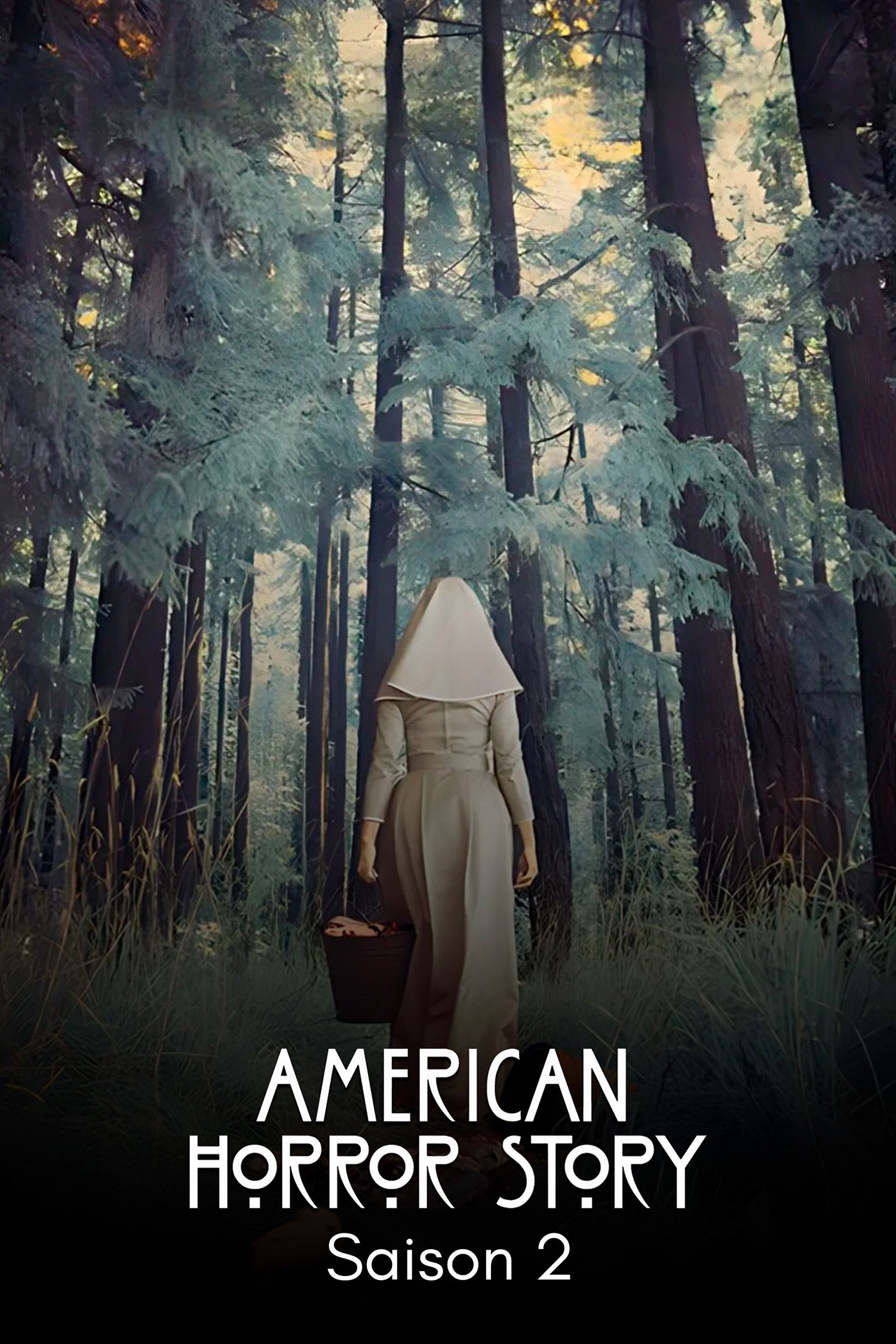 American Horror Story (Asylum)