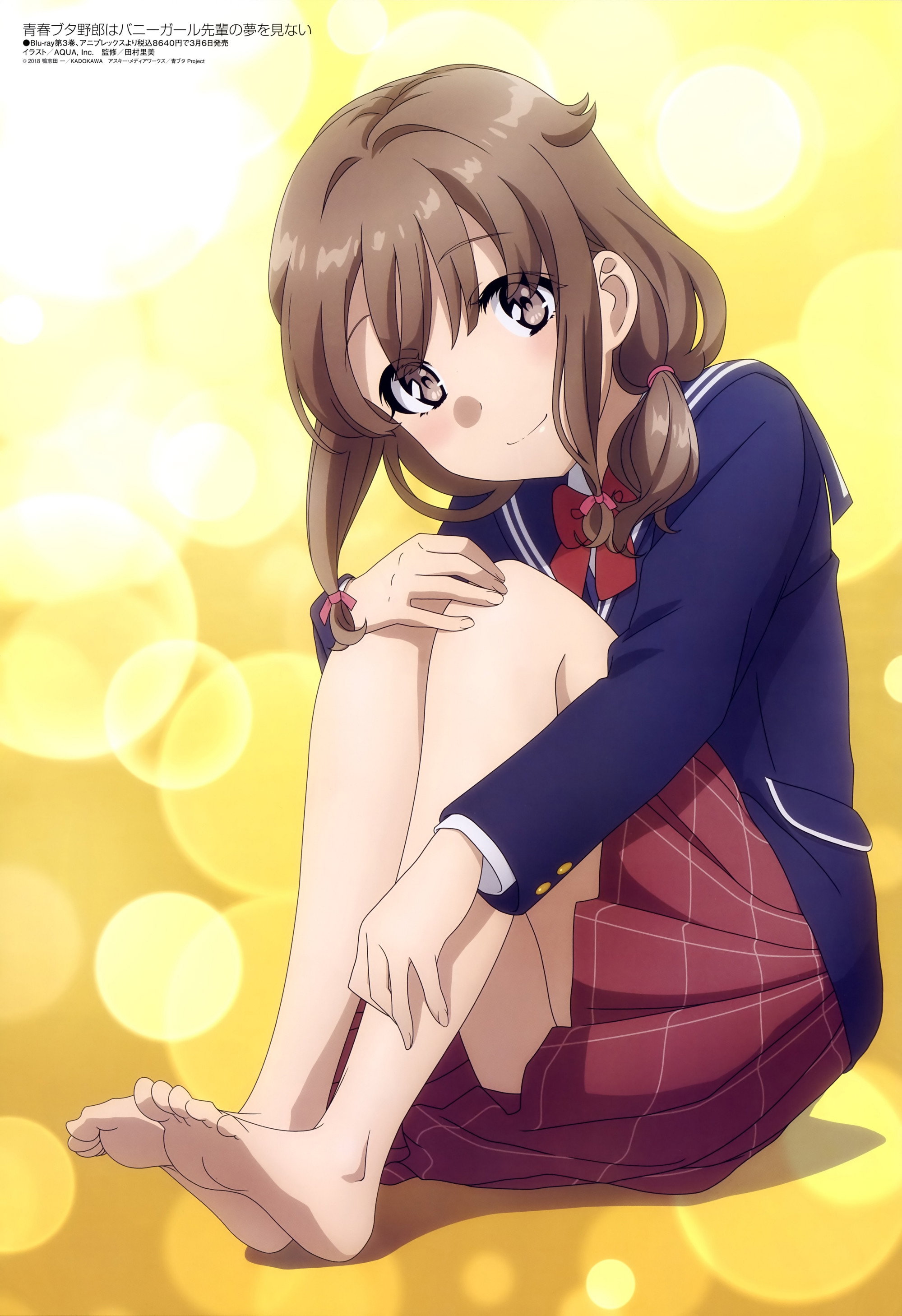 Rascal Does Not Dream of Bunny Girl Senpai (Épisodes spéciaux)
