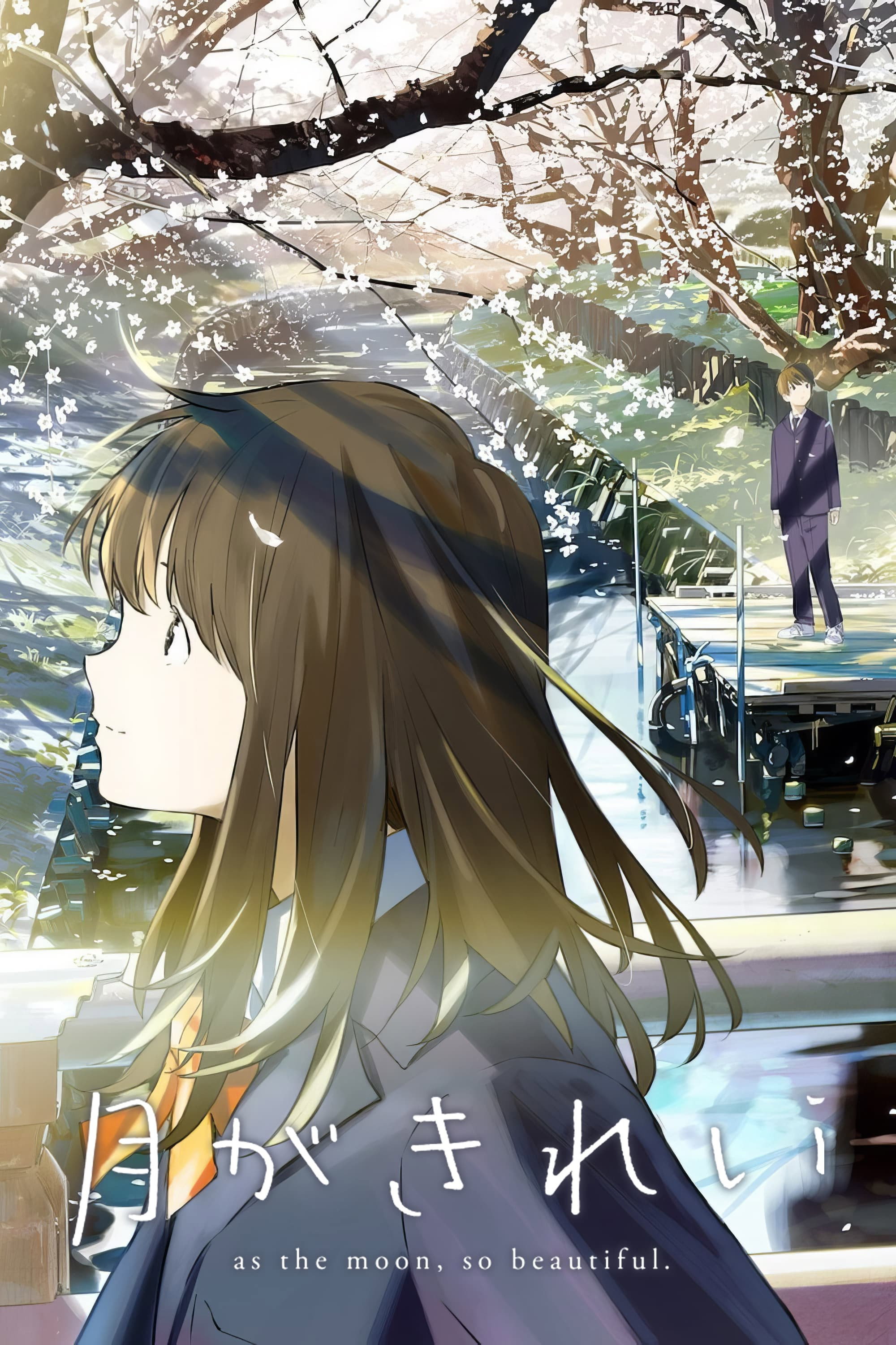 Tsuki Ga Kirei (Épisodes spéciaux)