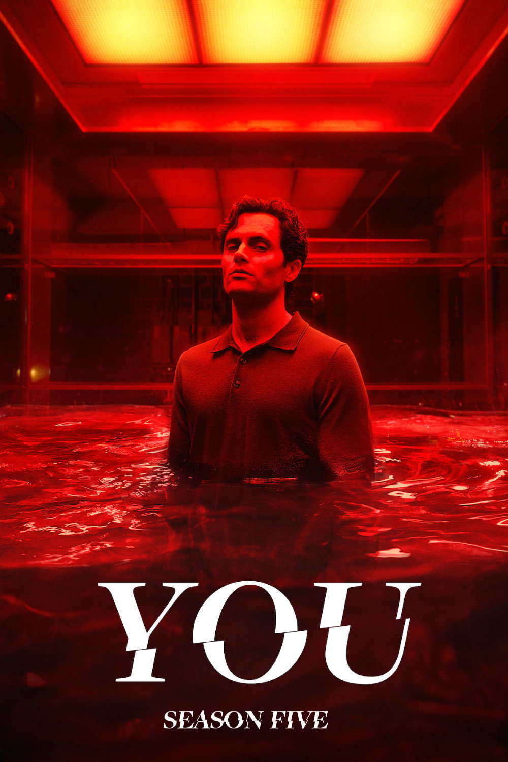 You — Saison 5
