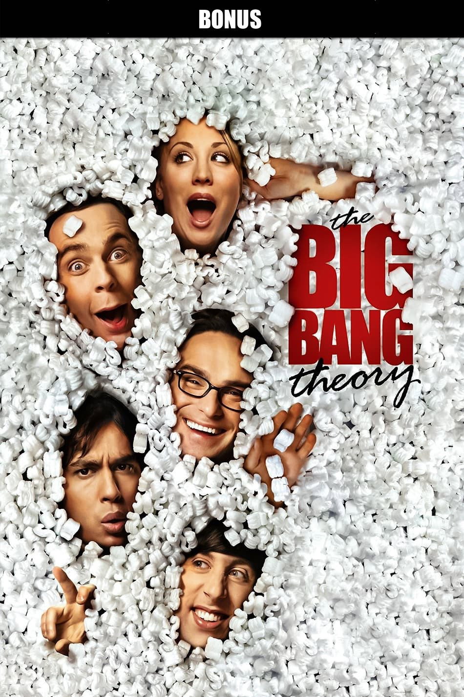 The Big Bang Theory (Épisodes spéciaux)