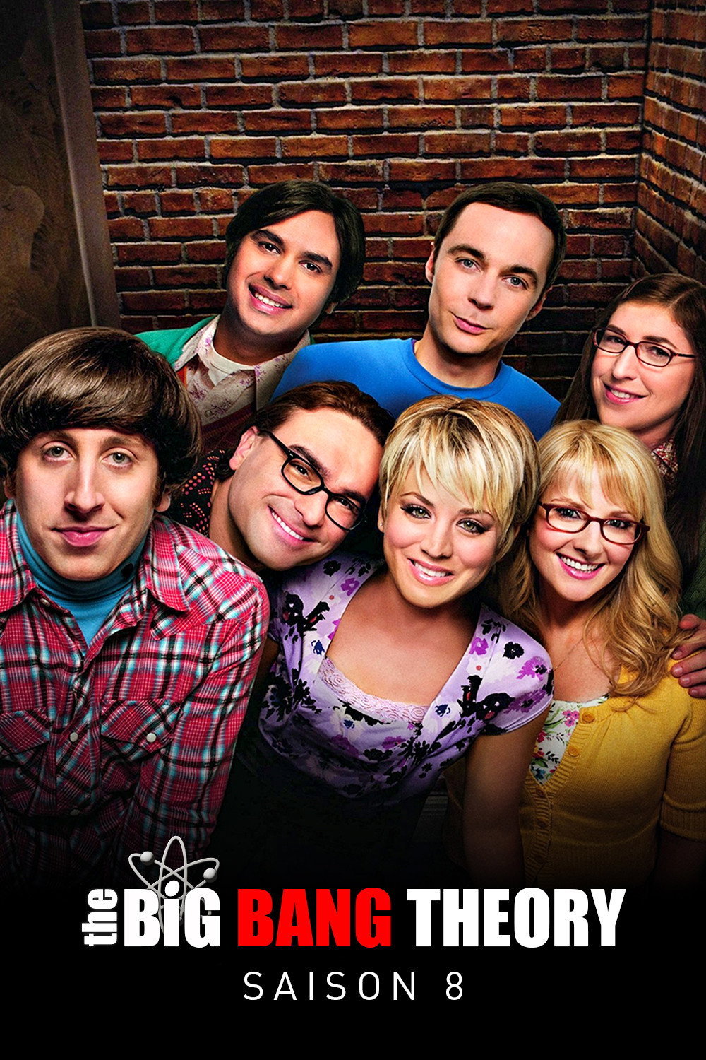 The Big Bang Theory — Saison 8