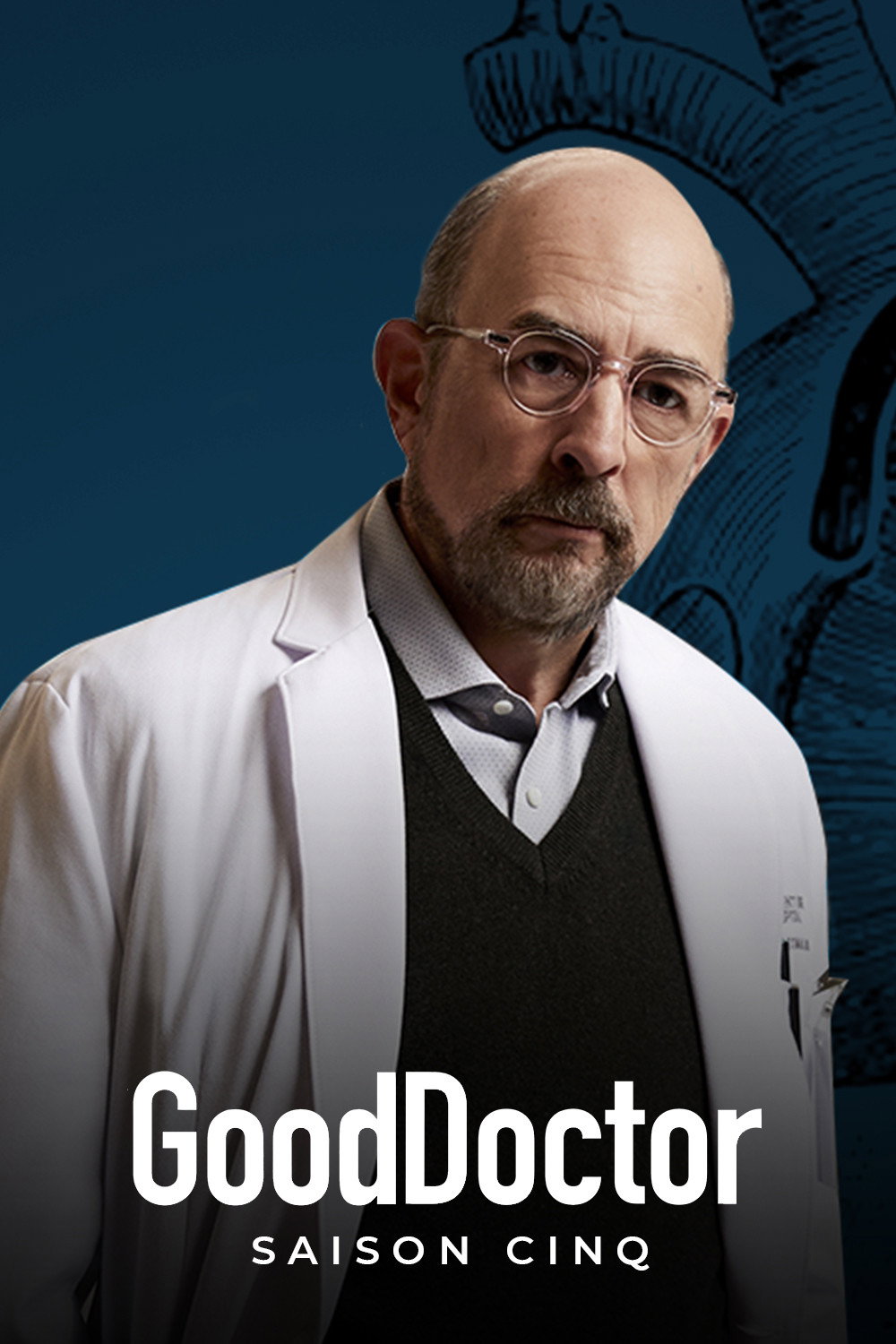 Good Doctor — Saison 5