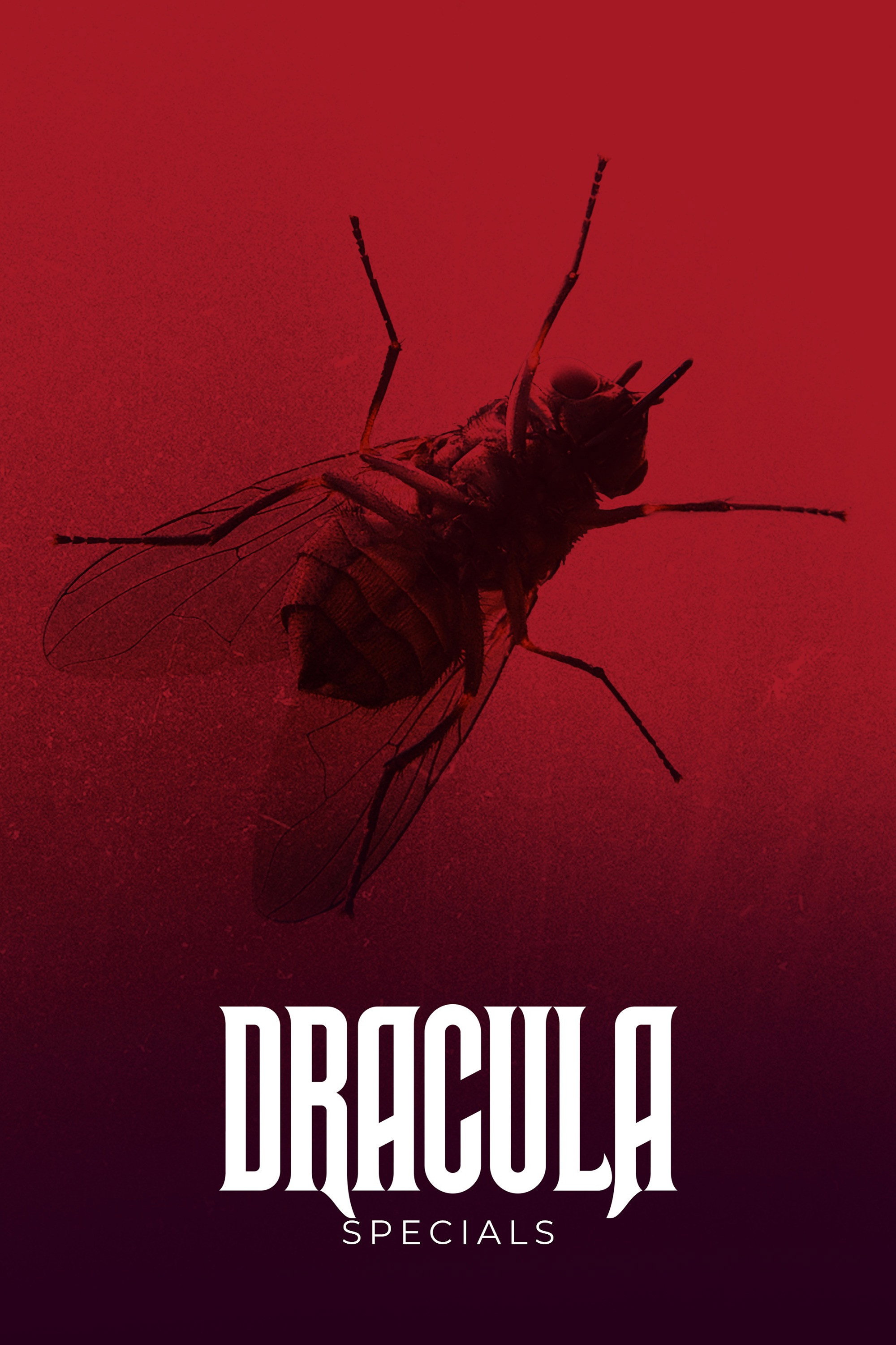 Dracula (Épisodes spéciaux)